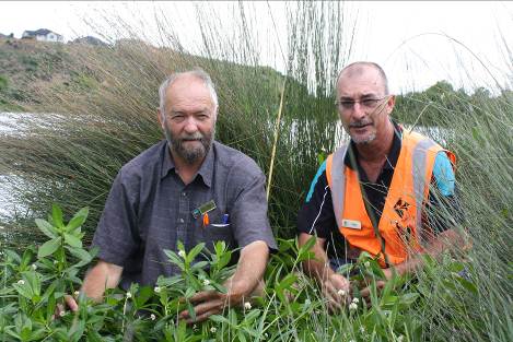 Bay of Plenty Regional Council Senior Biosecurity Officer John Mather and Tauranga City Council Drainage Engineer Peter Mora